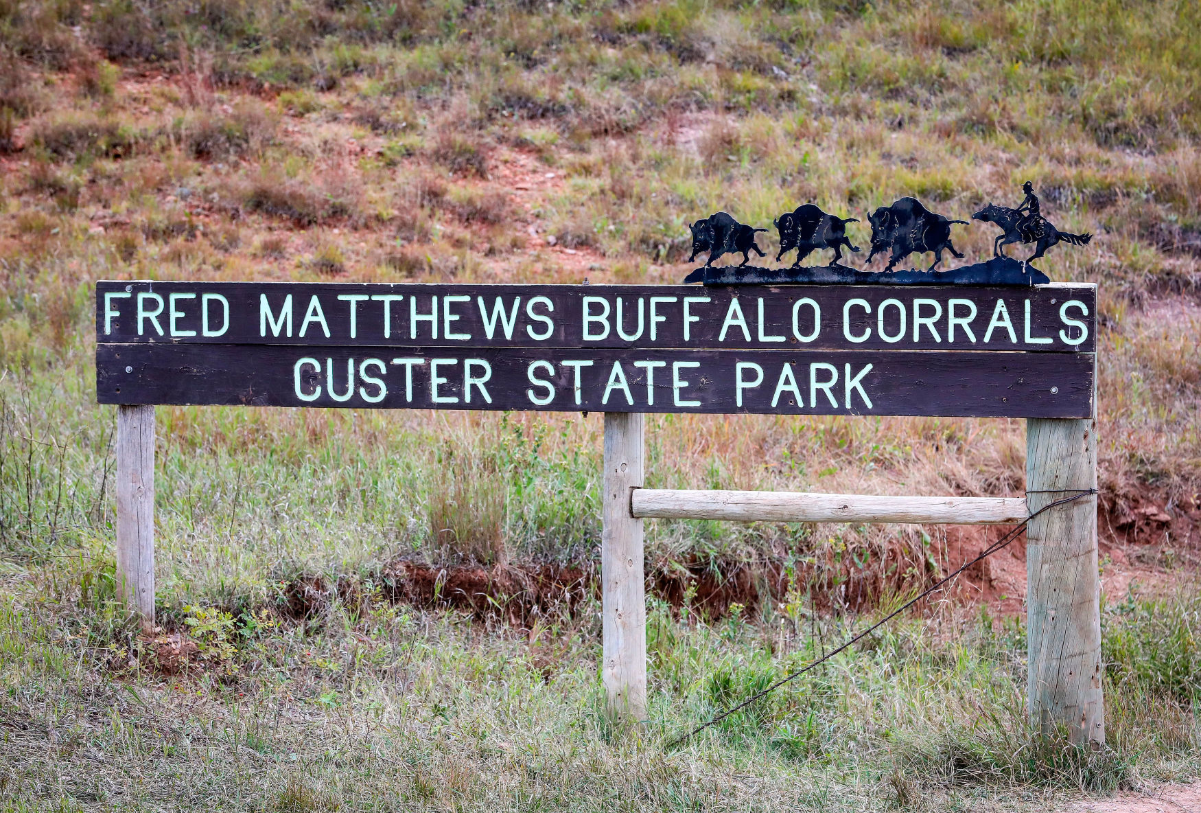 Custer State Park Prepares For Roundup